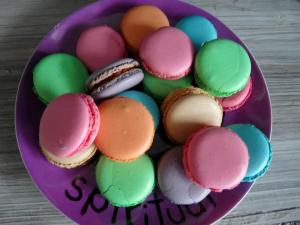 75285_10151369148931518_609214639_n