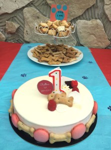 Dog Party Cake
