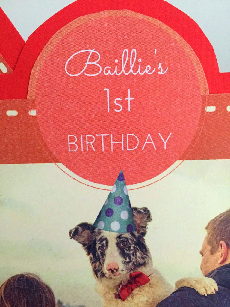 Dog Party Invitation1