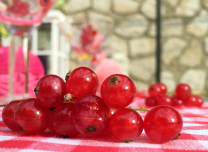 Red Currants