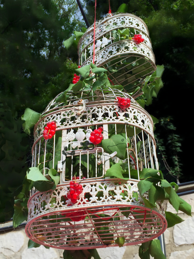 Red Current Bird Cage