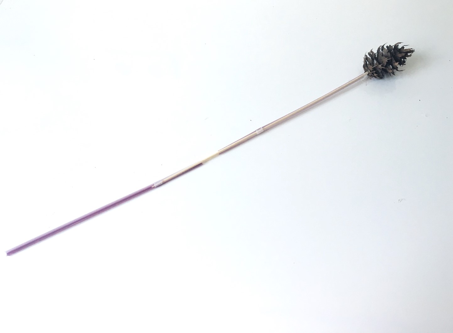 DIY Pine cone stick