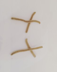 Cork Reindeer tutorial