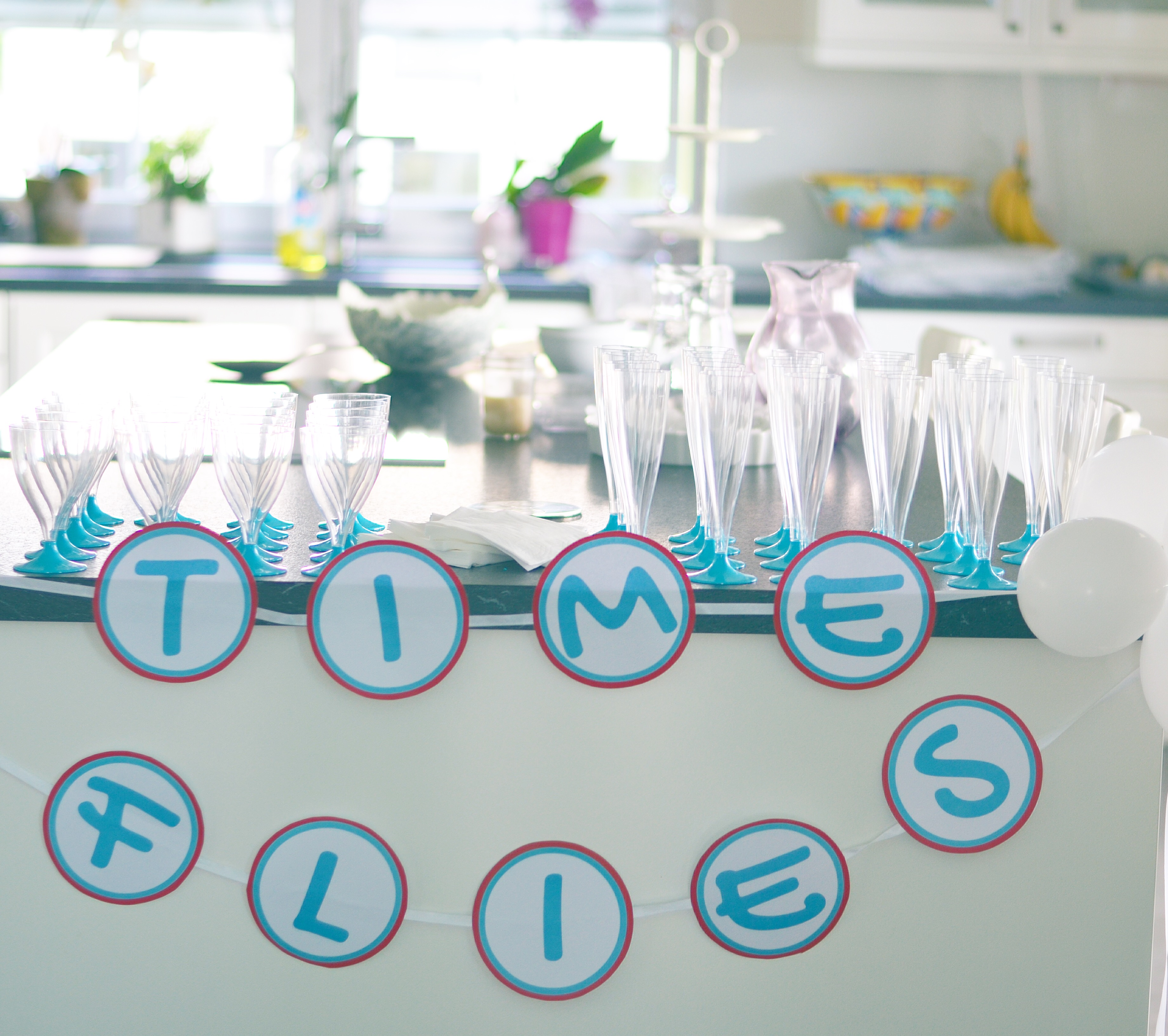 Airplane Baby Shower Luxembourg