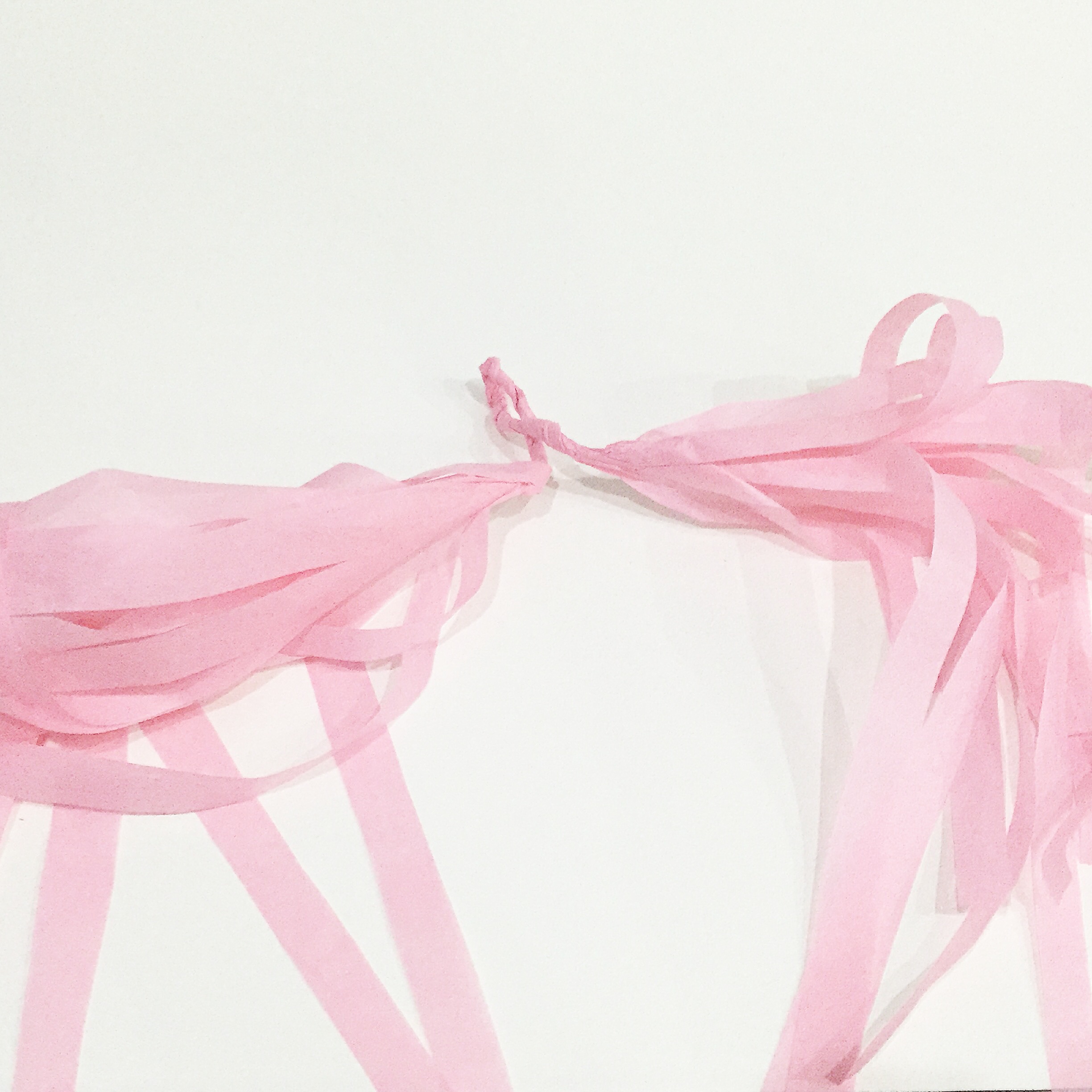 DIY - Tassel Garlands