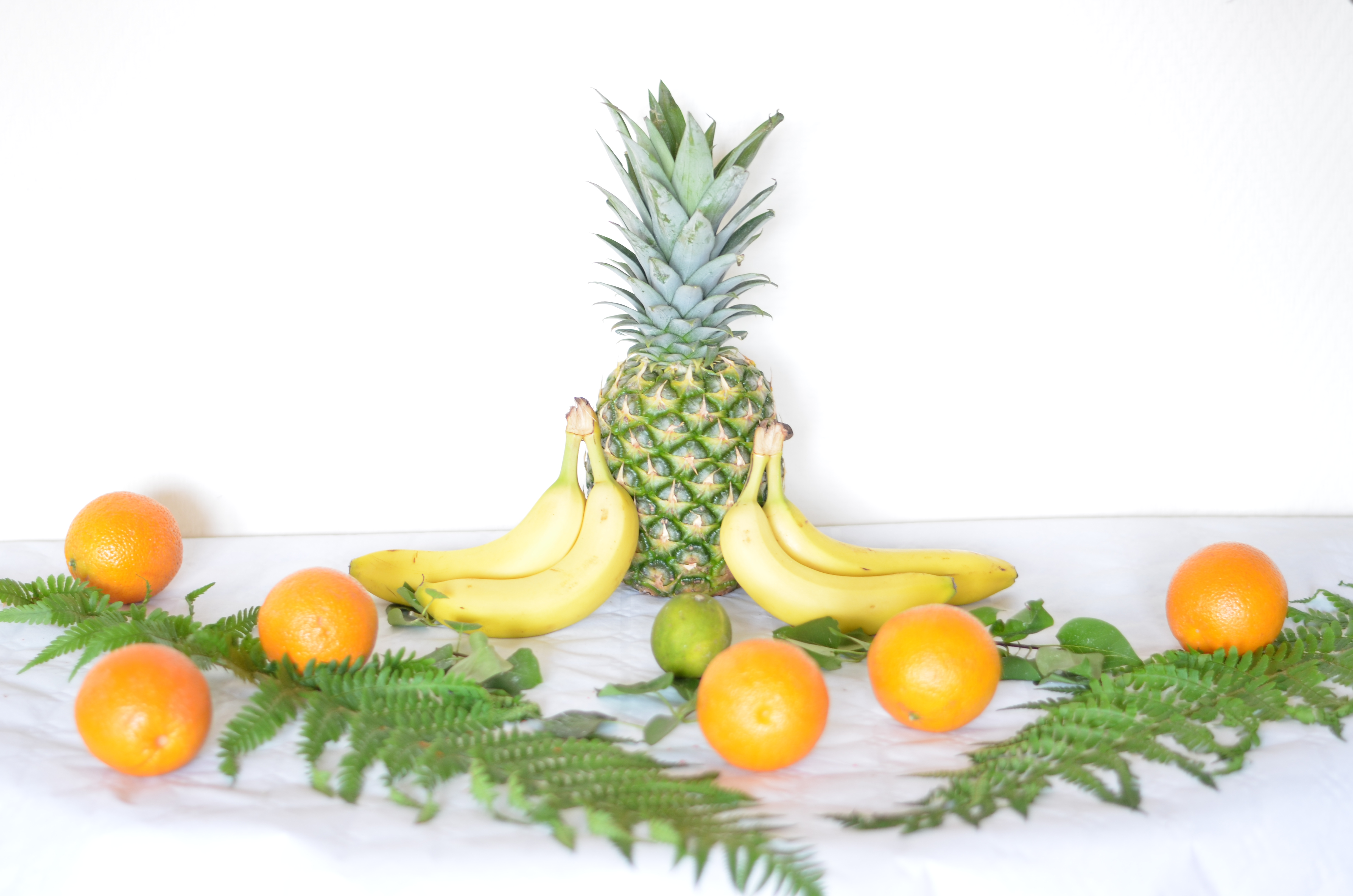 tropical paradise party