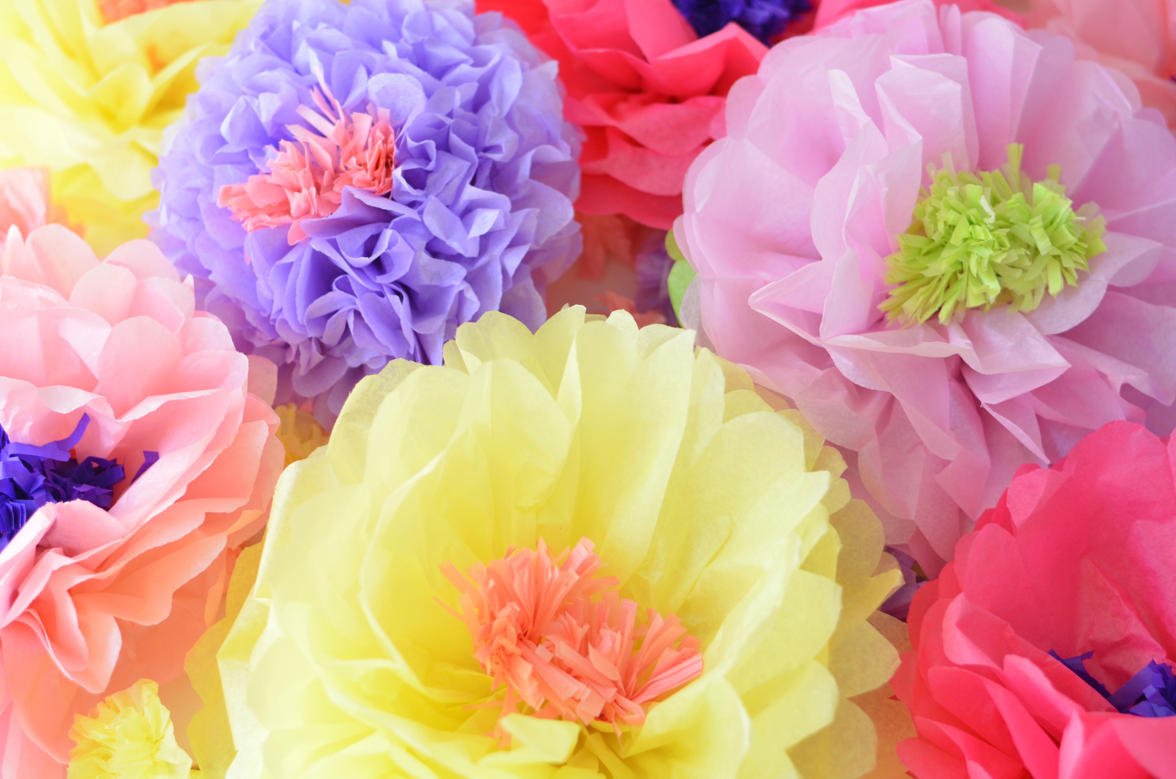 DIY Tissue Paper Flowers
