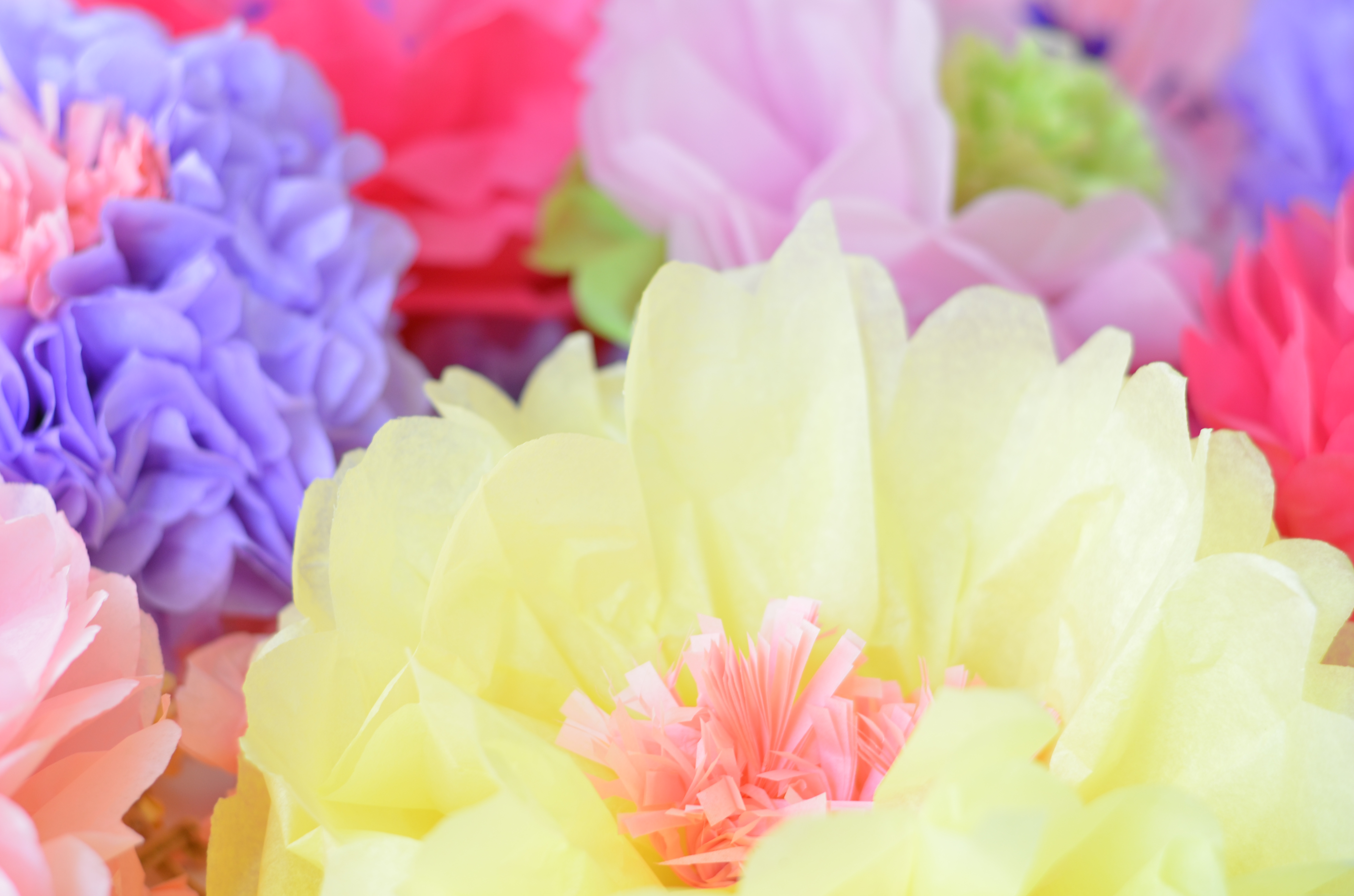 The Party Ville Paper Flowers