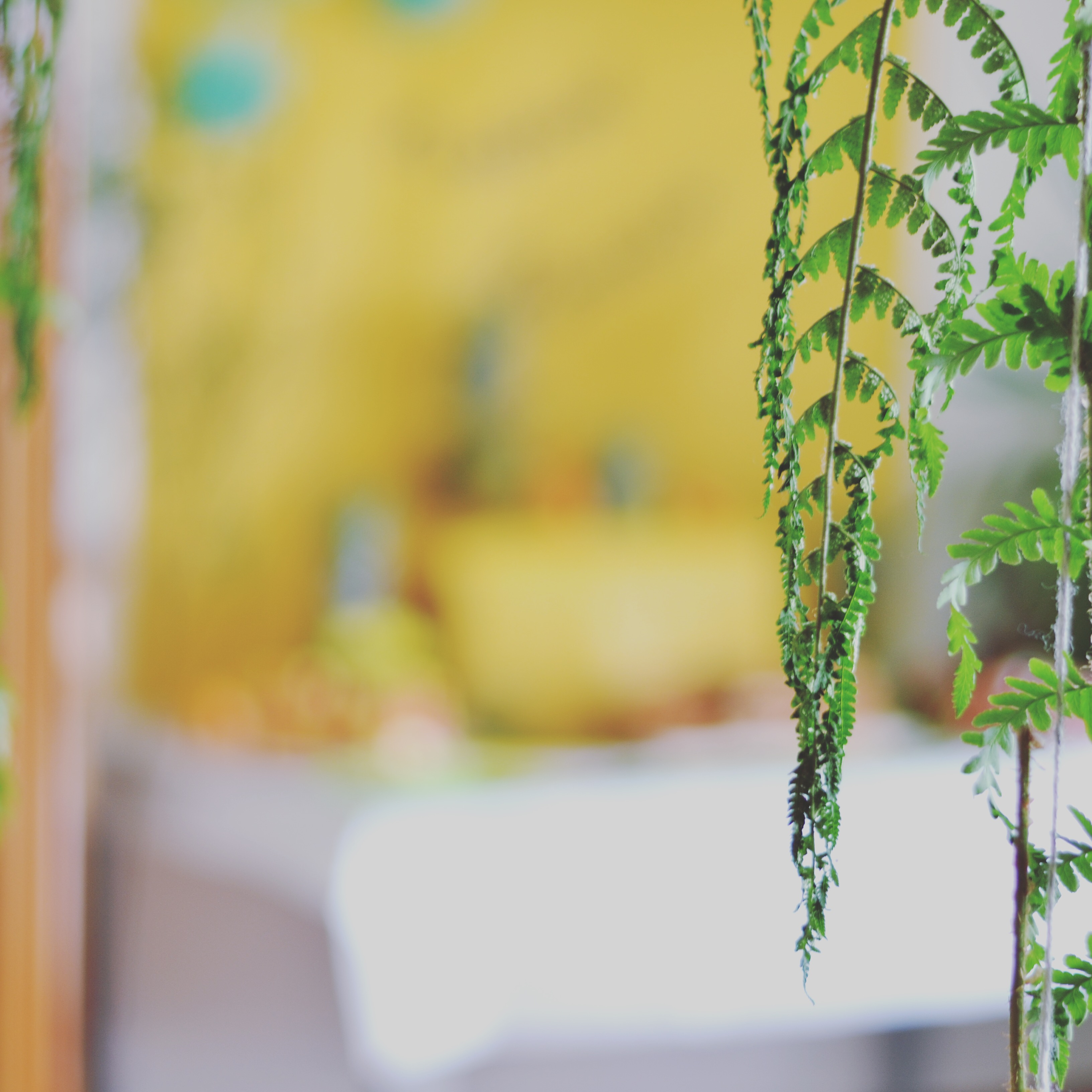 Tropical Paradise Party