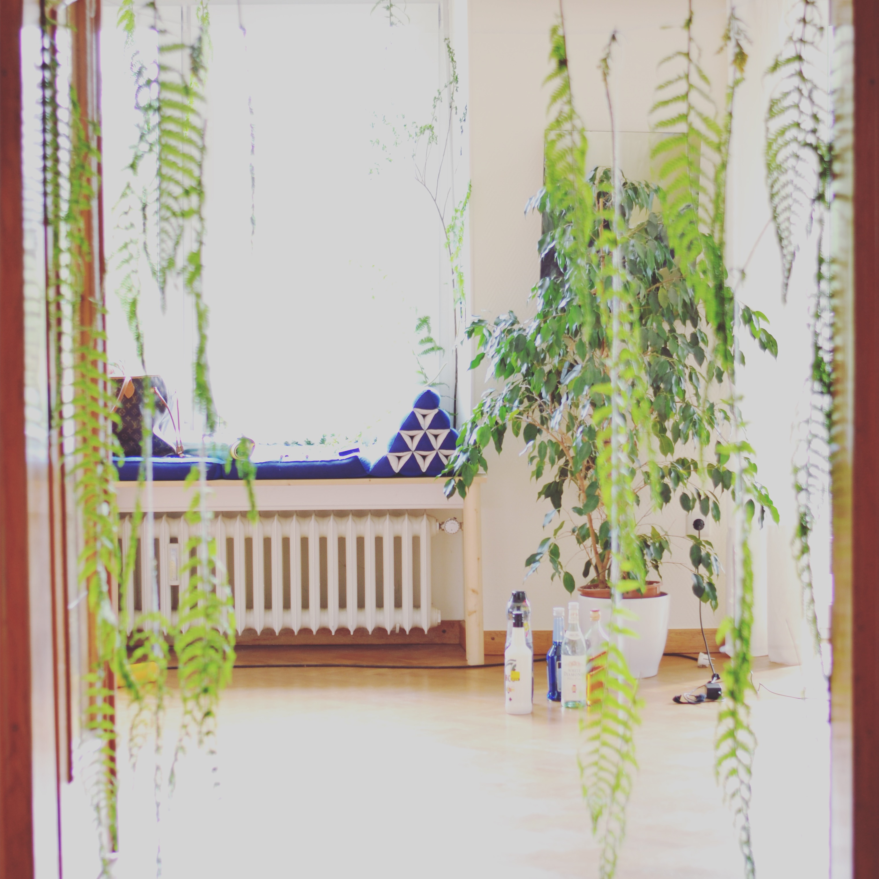 Tropical Decorations