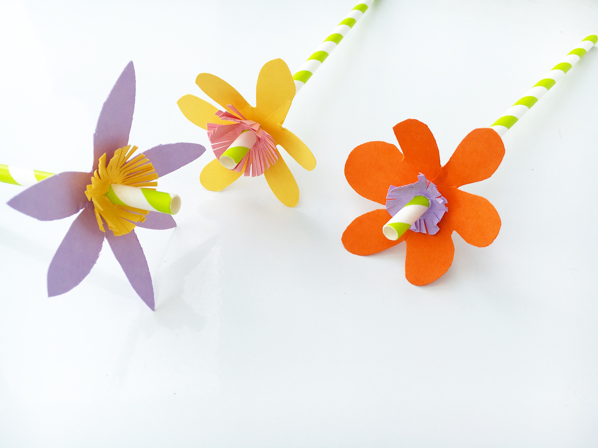 Craft paper flowers 6