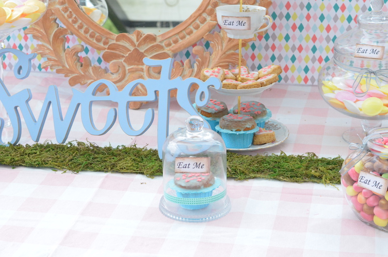 Alice in Wonderland 11