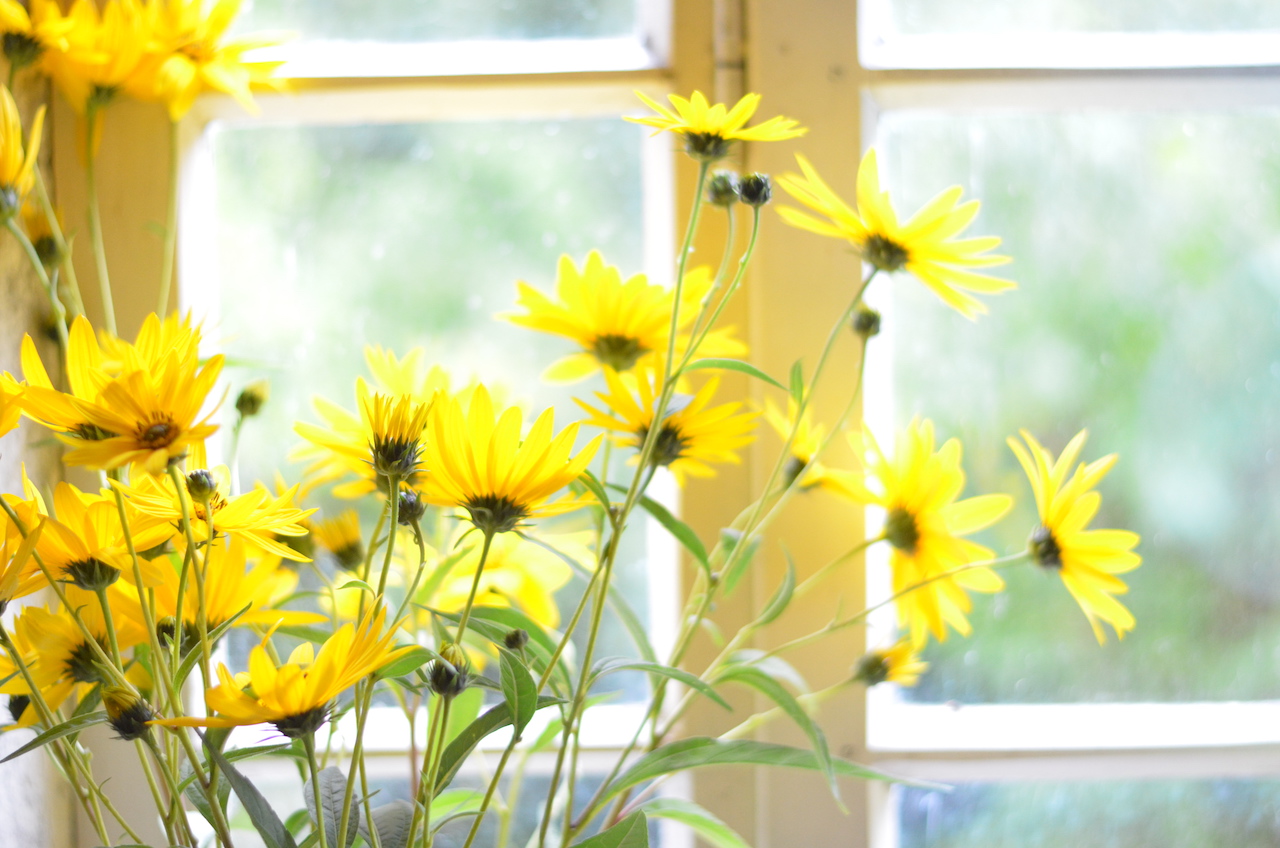 Rustic Party Decoration