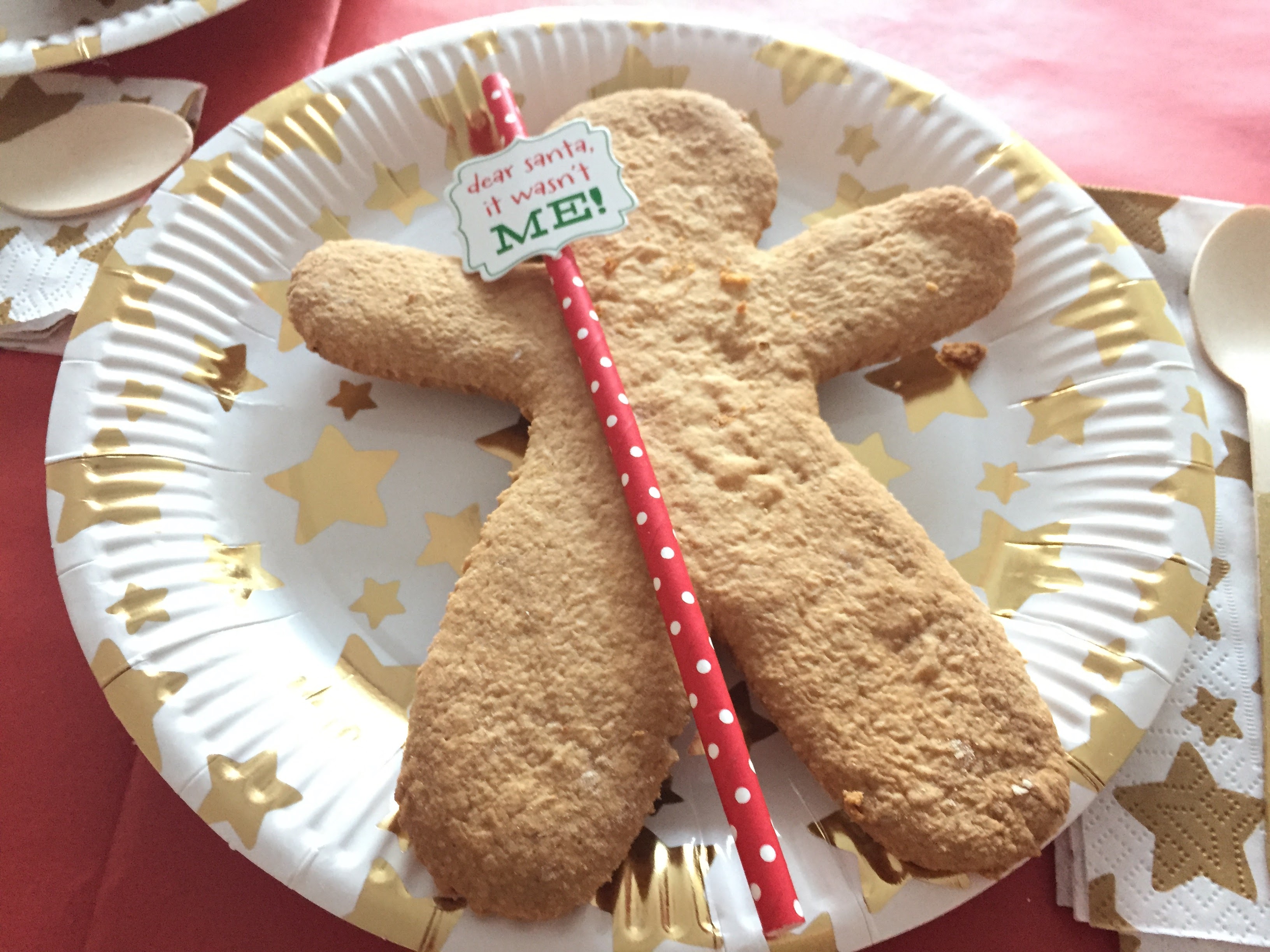 Christmas Birthday Party