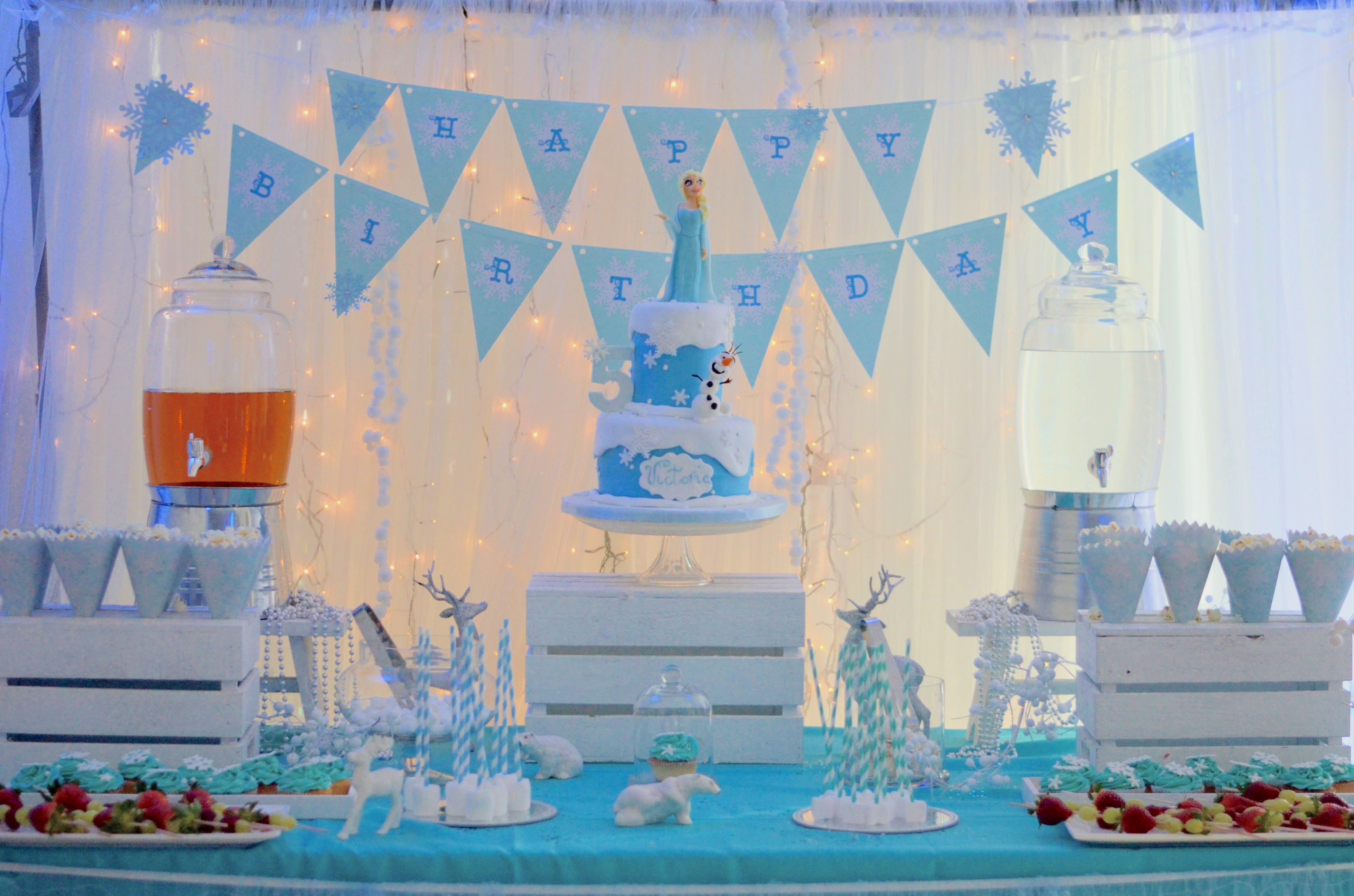 Frozen party 15