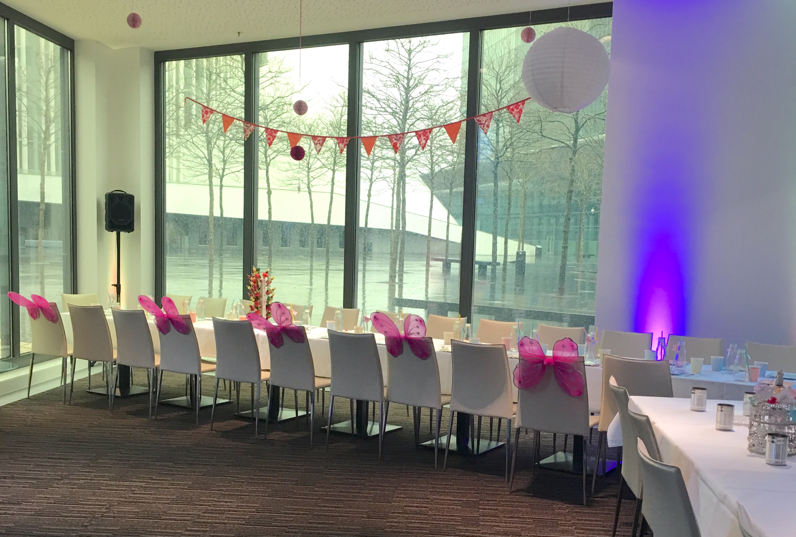 Luna Petunia Party 11