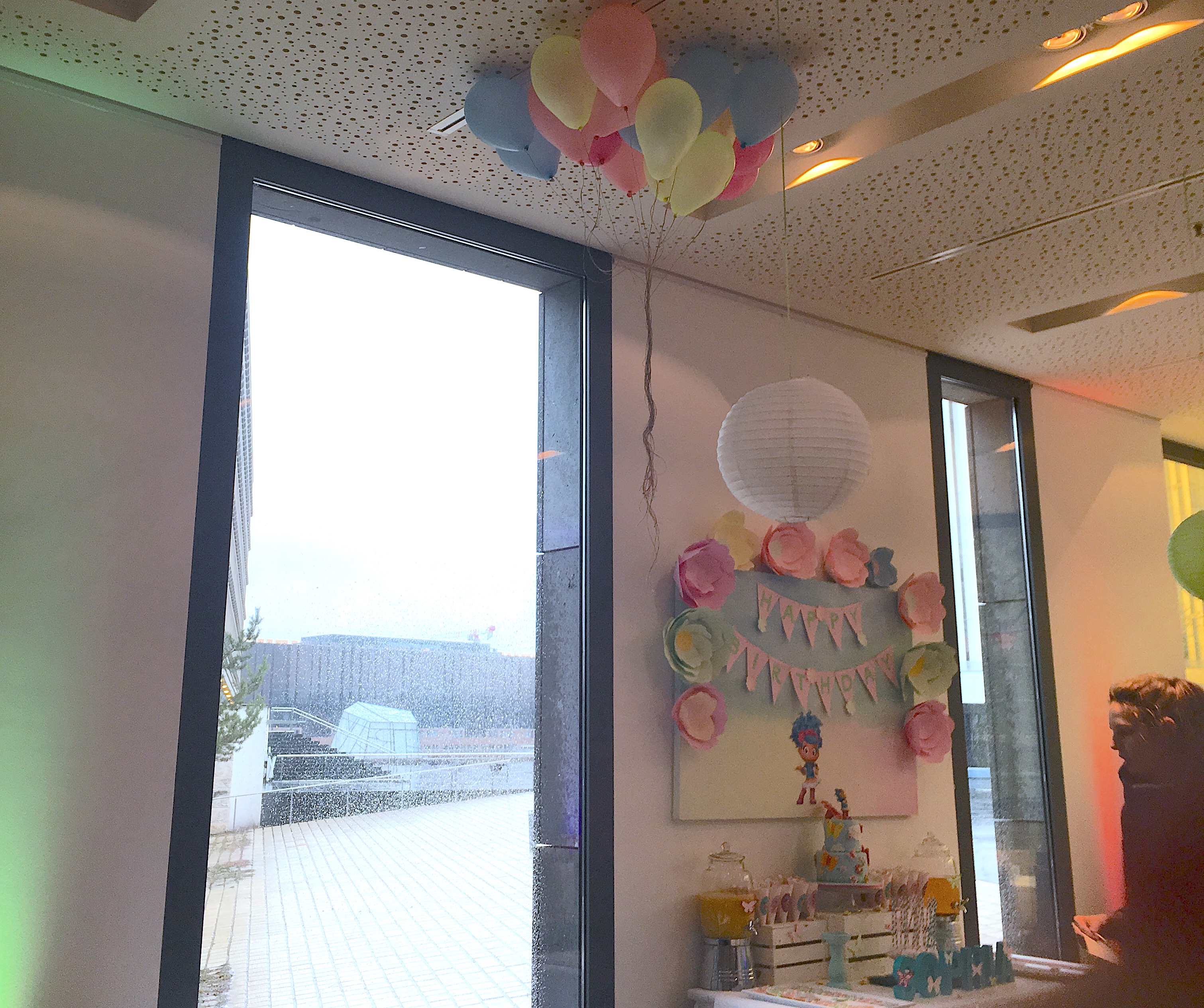 Luna Petunia Party 12