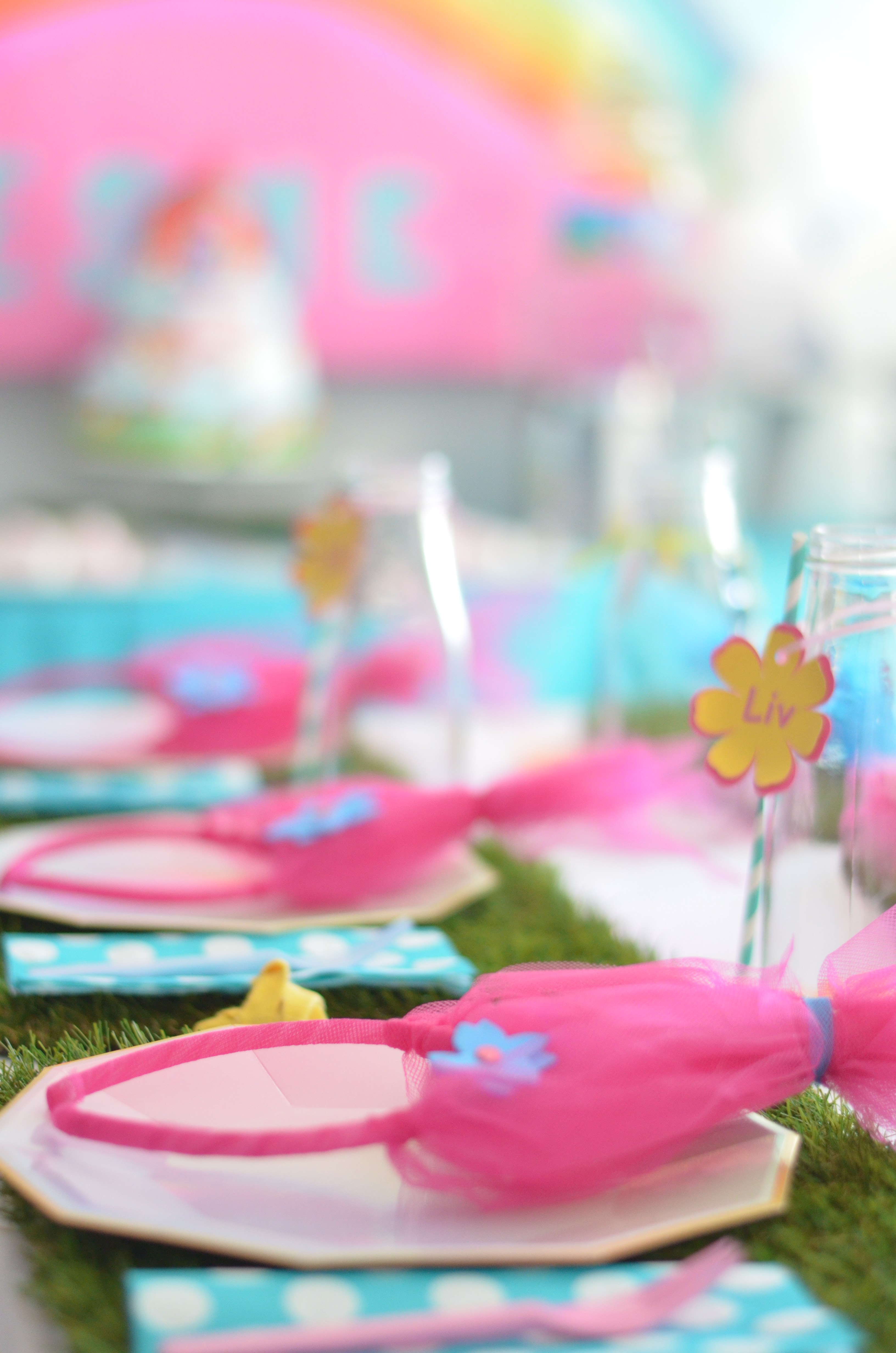 Trolls Birthday Party 5