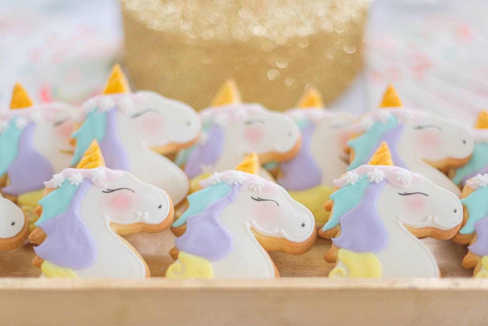 Unicorn Party 19