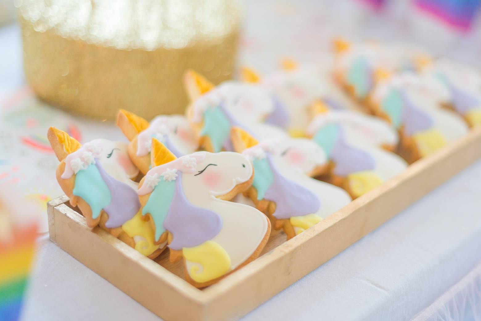 Unicorn Party 9